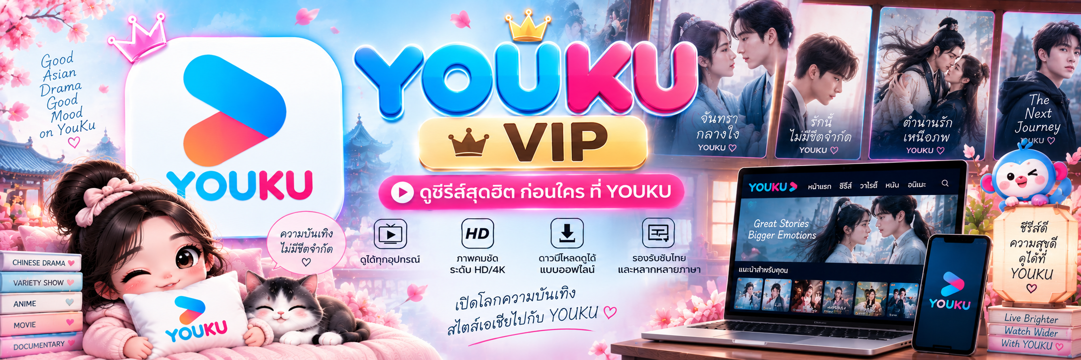 YOUKU VIP